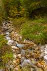 Slovenia, Triglav National Park, Julian Alps. Pericnik Falls creek cascade. Art Print